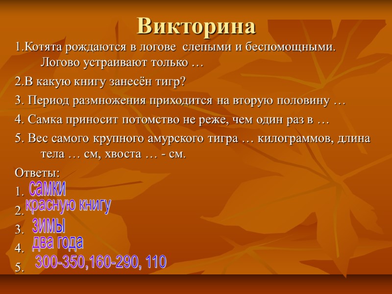 Викторина 1.Котята рождаются в логове  слепыми и беспомощными.     